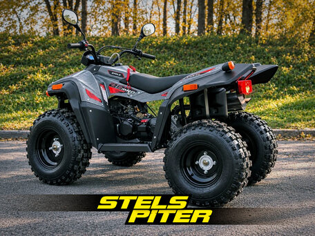 2026 Stels ATV-200 Леопард, серый, 260000 рублей, вид 4
