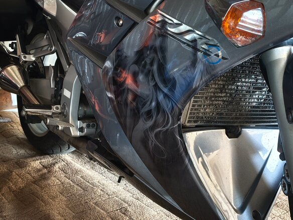 2003 Yamaha FJR1300, серебристый, 520000 рублей - вид 3
