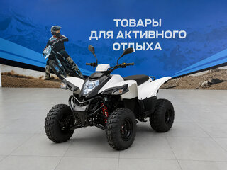 2026 Другие Мотовездеходы (другие), белый, 164600 рублей, вид 1