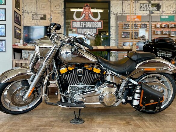 2025 Harley-Davidson Fat Boy, серый, 4800000 рублей - вид 2
