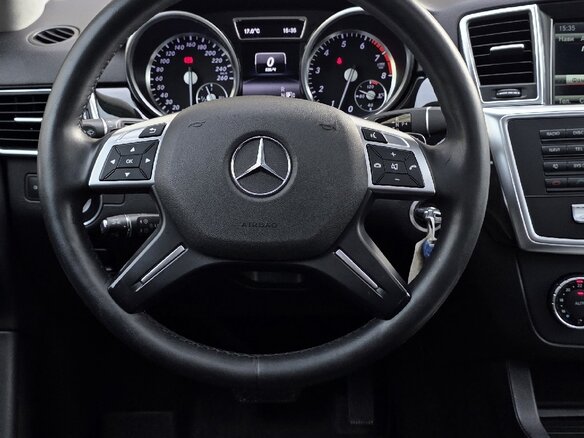 2014 Mercedes-Benz M-Класс 300 III (W166), чёрный - вид 12