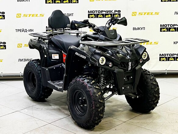 2025 Bison ATV200, чёрный - вид 2
