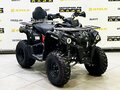 2025 Bison ATV200, чёрный - вид 2