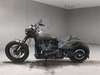 2018 Harley-Davidson FXDR 114, серый, 1529000 рублей, вид 2