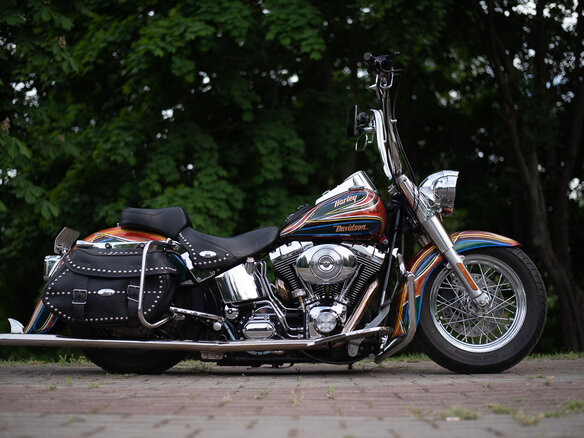2004 Harley-Davidson Softail Custom, красный, 1188668 рублей - вид 12