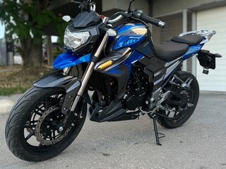 2022 Regulmoto T-Leopard 300, синий, 185000 рублей, вид 1
