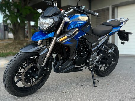 2022 Regulmoto T-Leopard 300, синий, 185000 рублей, вид 1
