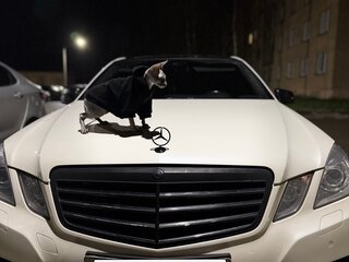 2012 Mercedes-Benz E-Класс 350 IV (W212, S212, C207), белый, 2500000 рублей, вид 4