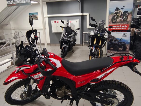 2026 Loncin DS250, красный, 258000 рублей - вид 8
