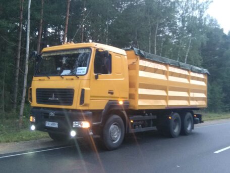 2013 МАЗ 6501, золотистый, 3292704 рублей, вид 2