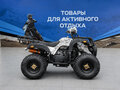 2026 Другие Мотовездеходы (другие), чёрный, 137700 рублей - вид 3