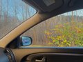 2010 Kia Ceed I Рестайлинг, серебристый, 660000 рублей - вид 11