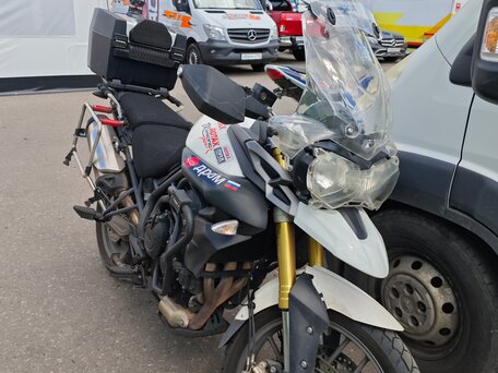2014 Triumph Tiger 800, белый, 600000 рублей, вид 2