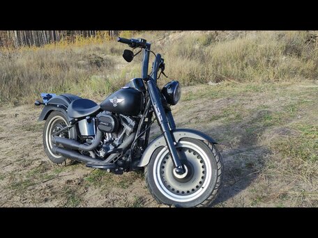 2015 Harley-Davidson Fat Boy, чёрный, 1950000 рублей, вид 2