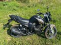 2024 Motoland Bandit 300, чёрный, 175000 рублей - вид 8