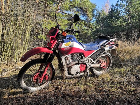 1983 Honda XLV 750, красный, 570000 рублей, вид 4