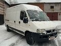 2008 Fiat Professional Ducato, белый, 850000 рублей