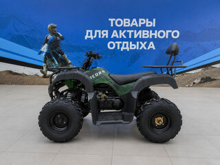 2026 Другие Мотовездеходы (другие), зелёный, 179300 рублей, вид 3
