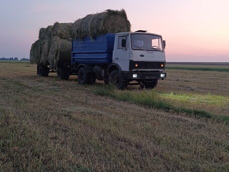 1992 МАЗ 5551, белый, 450000 рублей, вид 3