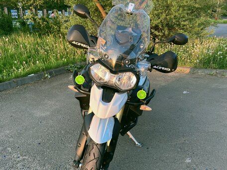 2012 Triumph Tiger 800, белый, 569000 рублей, вид 3