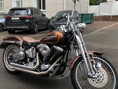 1991 Harley-Davidson Springer Softail, коричневый, 1500000 рублей, вид 1