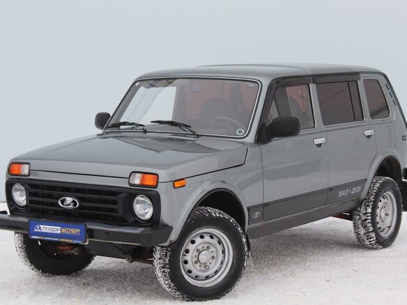 2011 Lada (ВАЗ) 2131 (4x4) I, серый
