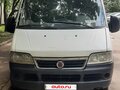 2010 Fiat Professional Ducato, белый, 800000 рублей - вид 3