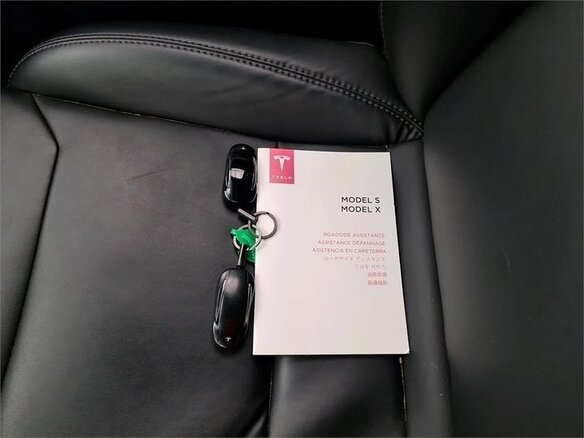 2018 Tesla Model X 100D I, серый, 3011172 рублей - вид 12