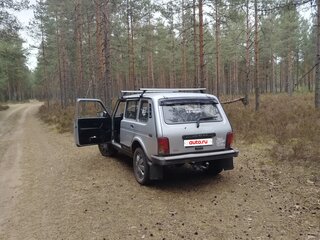2010 Lada (ВАЗ) 2131 (4x4) 213105 I, серебристый, 500000 рублей, вид 5