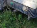 2005 ГАЗ ГАЗель (3302), белый, 499000 рублей - вид 6