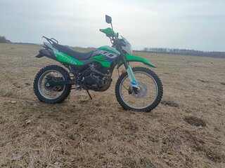 2023 Racer Panther, зелёный, 147000 рублей, вид 1