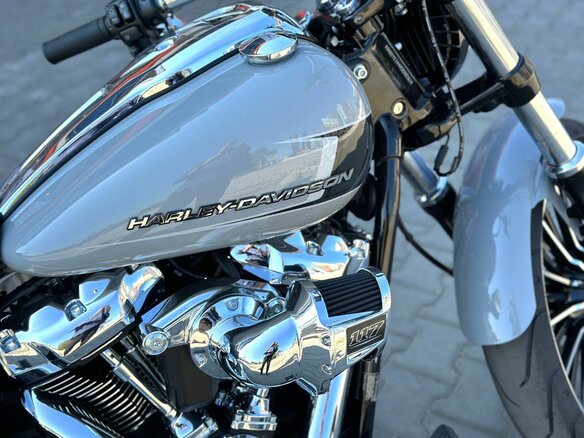 2024 Harley-Davidson Breakout, серый, 3990000 рублей - вид 5