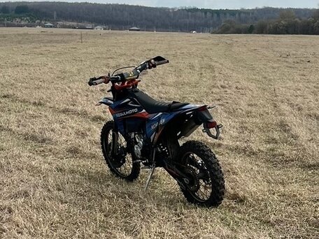 2024 Regulmoto Legend 300, синий, 170000 рублей, вид 2