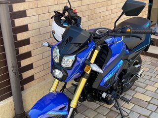 2025 Promax MX280, синий, 180000 рублей, вид 2