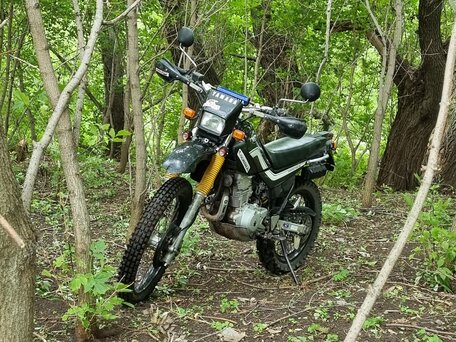 2002 Yamaha XT225 Serow, чёрный, 265000 рублей, вид 3