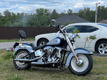 2001 Harley-Davidson Heritage, синий, 450000 рублей, вид 1