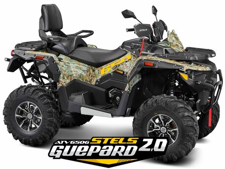 2025 Stels ATV-650 Guepard Trophy, коричневый, 1000000 рублей, вид 1