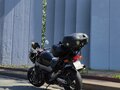 1999 Honda X11, чёрный, 550000 рублей - вид 8