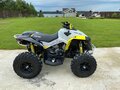 2019 BRP Can-Am Renegade 1000, жёлтый - вид 4