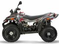 2026 Stels ATV-200 Леопард, чёрный, 250000 рублей - вид 2