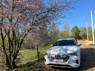 2019 Audi e-tron 55 I, белый, 3300000 рублей, вид 2