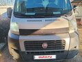 2013 Fiat Professional Ducato, белый, 1900000 рублей