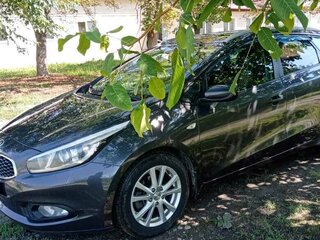 2015 Kia Ceed II, серый, 1390000 рублей, вид 5