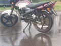 2021 Racer Tiger, красный, 60000 рублей - вид 3
