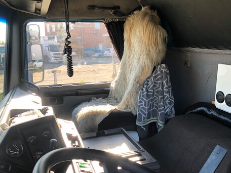 1993 Volvo F-Series, синий, 4500000 рублей, вид 3