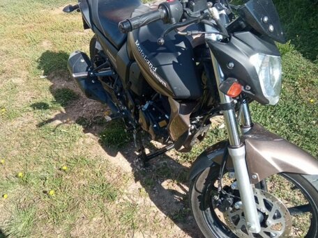 2020 Motoland Bandit 250, чёрный, 125000 рублей, вид 2