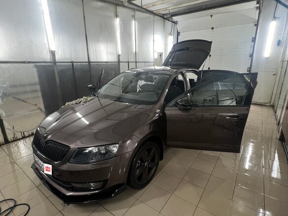 2013 Skoda Octavia III (A7), коричневый, 2000000 рублей - вид 2