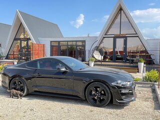 2017 Ford Mustang VI, чёрный, 2950000 рублей, вид 3