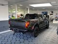2025 Ford F-150 Raptor XIV Рестайлинг, зелёный, 15530000 рублей - вид 5
