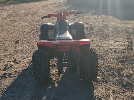 1999 Honda TRX 90, красный, 170000 рублей, вид 4